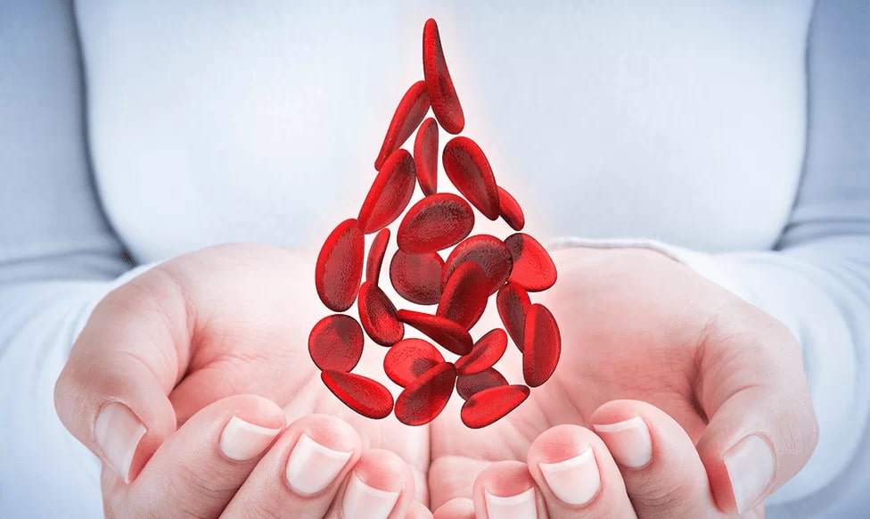 Эндокринология и Гематология